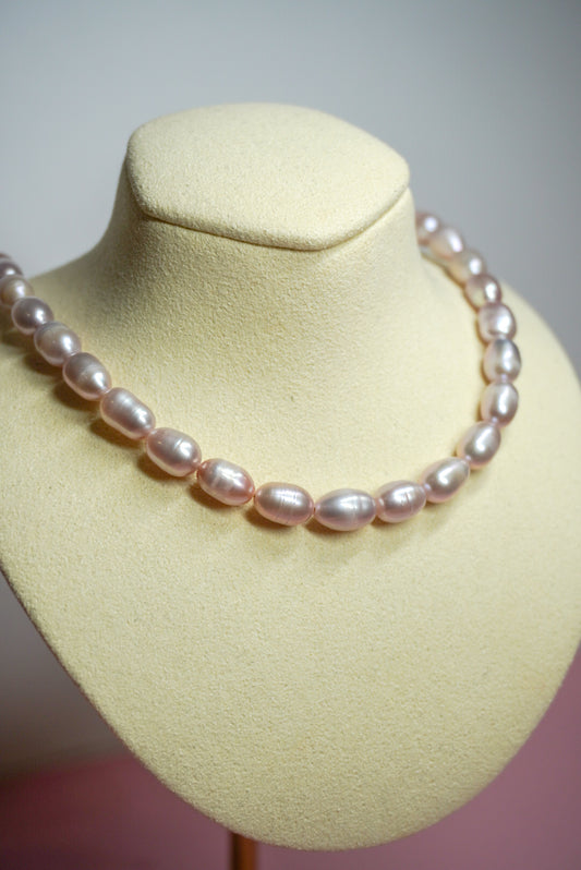 Collar Australia